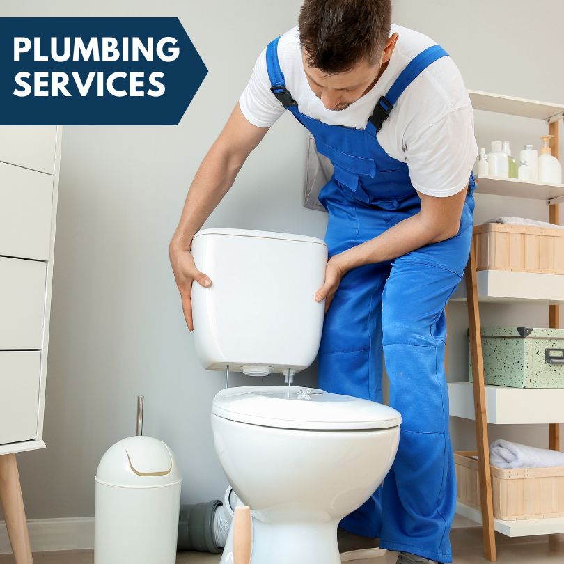 Plumbing Company in Delavan, IL